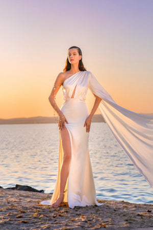 One Shoulder One Long Sleeve Silk Dress AuroraParis One Shoulder One Long Sleeve Silk Dress AuroraParis